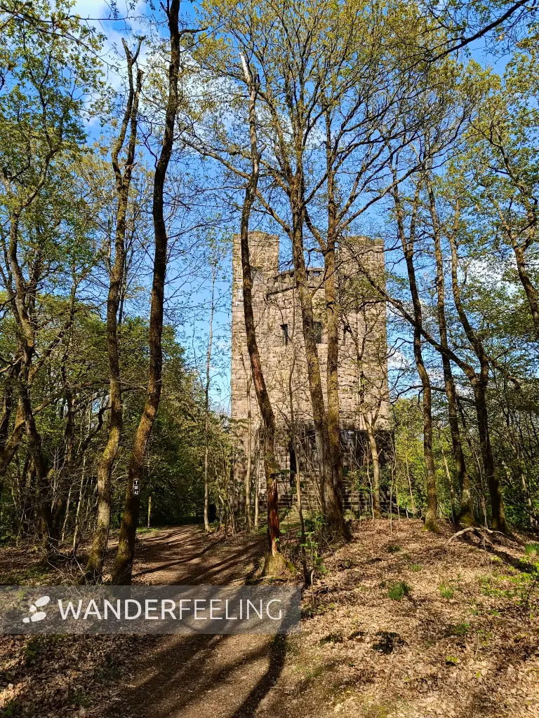 202604210-23 - Eugen-Richter-Turm im Stadtwald Hagen, Ruhrgebiet, Nordrhein-Westfalen, Deutschland