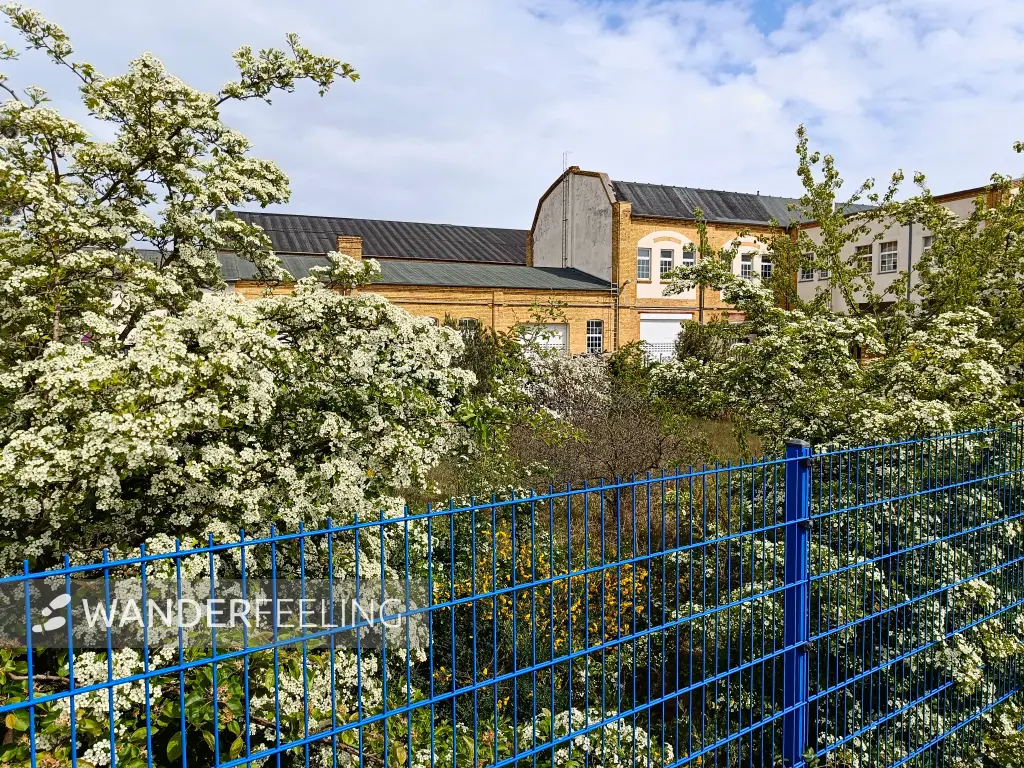 202404240-15 - Fabrikgebäude in Wolfen, Anhalt-Dessau-Wittenberg, Sachsen-Anhalt, Deutschland