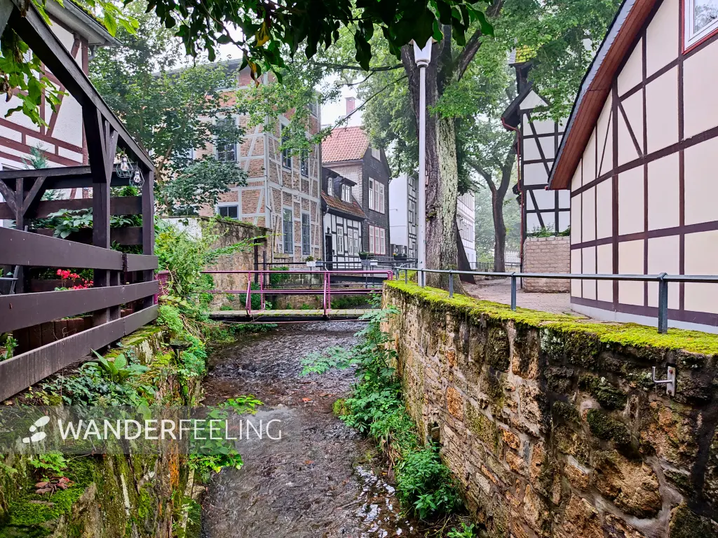 202308170-37 - Fachwerkhäuser an der Abzucht in Goslar, Harz, Niedersachsen, Deutschland