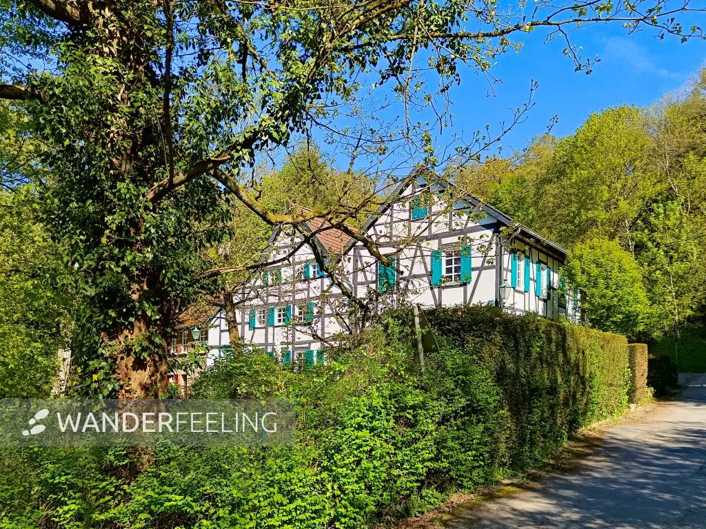 202604230-18 - Fachwerkhäuser im Düsseltal, Bergisches Land, Nordrhein-Westfalen, Deutschland