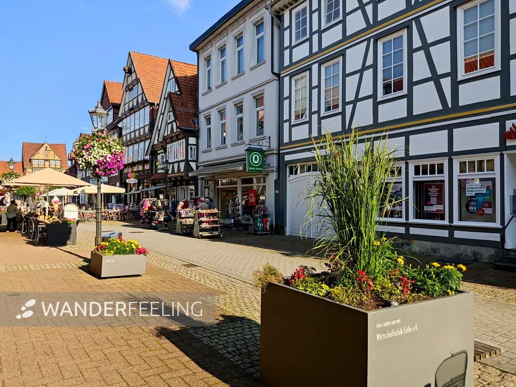 202308181-24 - Fachwerkhäuser in Celle, Lüneburger Heide, Niedersachsen, Deutschland