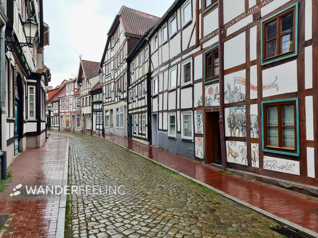 202308151-19 - Fachwerkhäuser in Hameln, Weserbergland, Niedersachsen, Deutschland