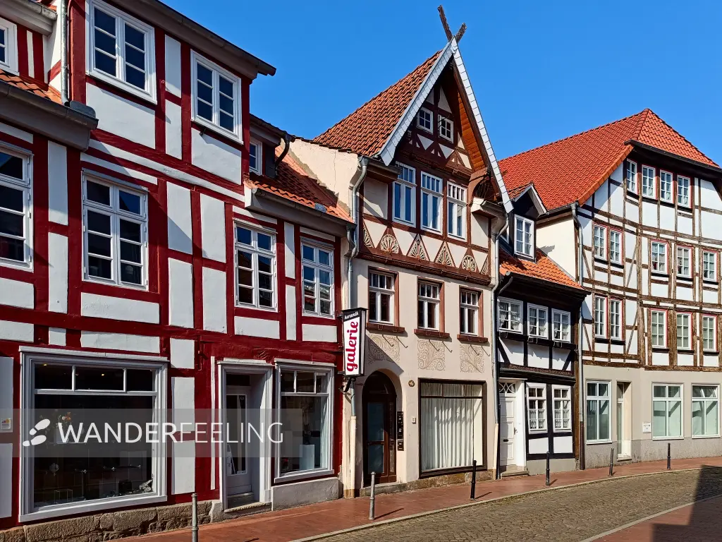 202503100-01 - Fachwerkhäuser in Hameln, Weserbergland, Niedersachsen, Deutschland