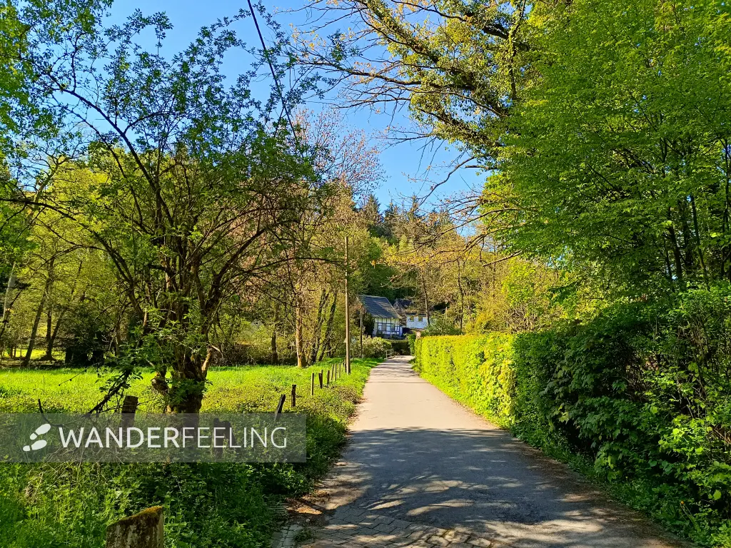 202604230-19 - Fachwerkhaus im Düsseltal, Bergisches Land, Nordrhein-Westfalen, Deutschland