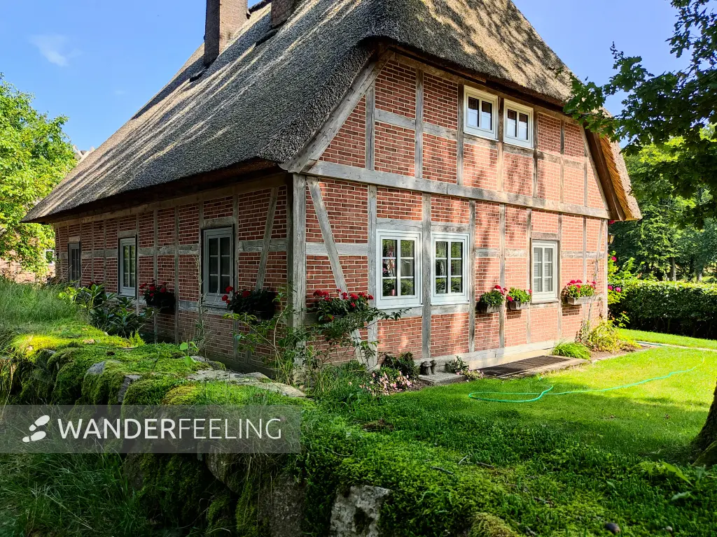 202308210-34 - Fachwerkhaus in Wilsede, Lüneburger Heide, Niedersachsen, Deutschland