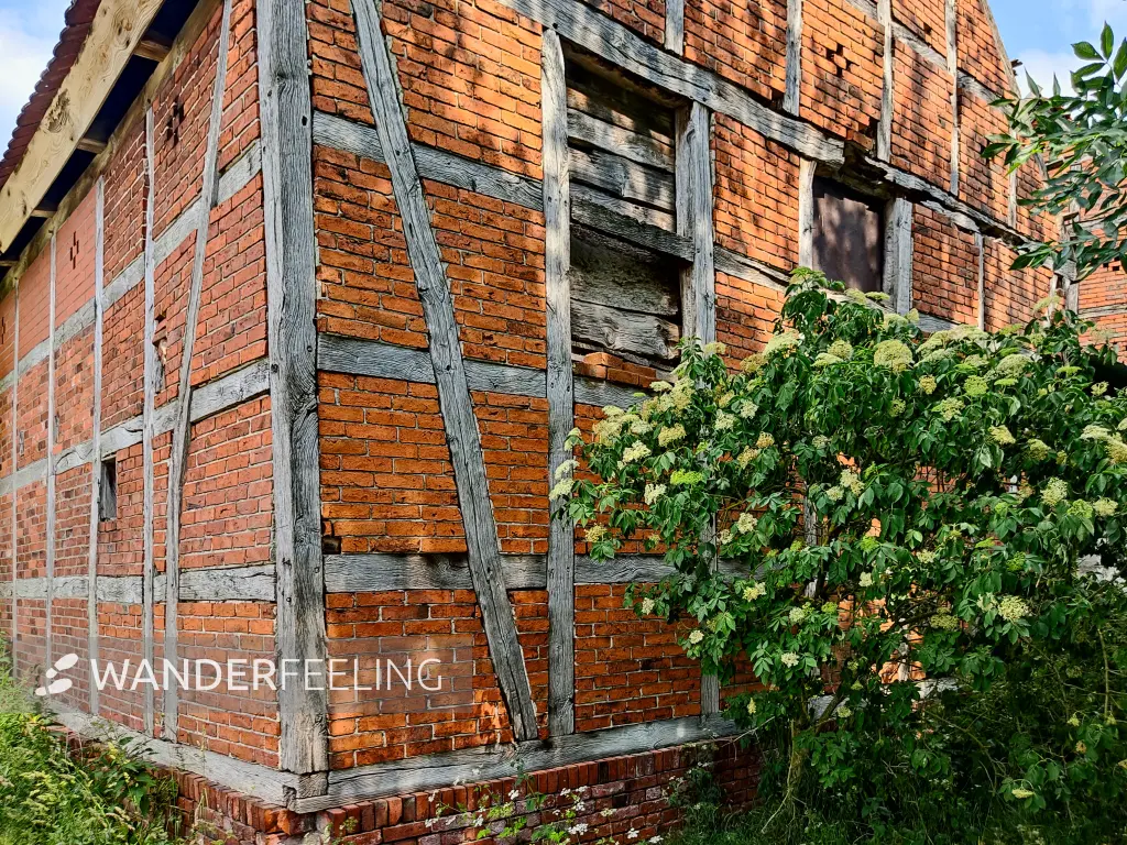 202306070-32 - Fachwerkscheune in Hinzdorf, Brandenburg, Deutschland