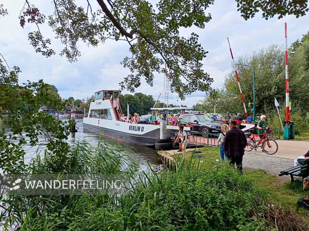 202508300-22 - Fähre auf der Oberhavel in Konradshöhe, Berlin, Deutschland