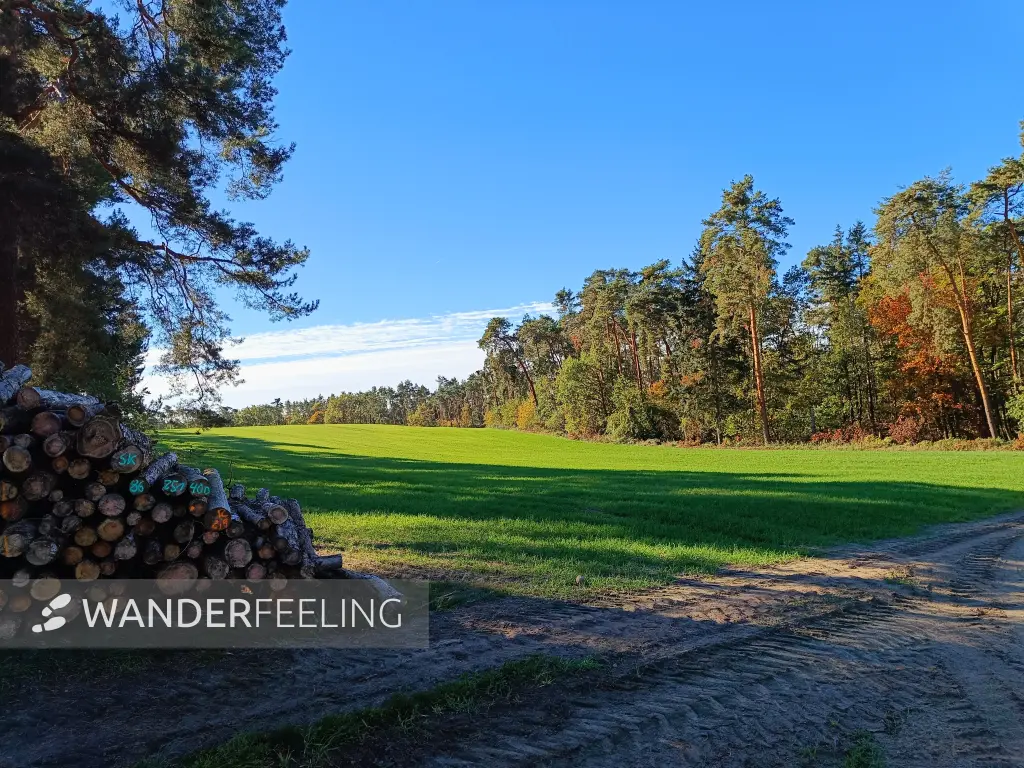 202610190-05 - Felder bei Lindenberg, Seenland Oder-Spree, Brandenburg, Deutschland