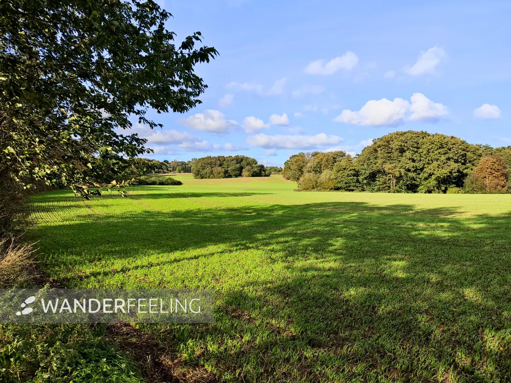 202310160-26 - Felder bei Neuendorf, Rügen, Mecklenburg-Vorpommern, Deutschland