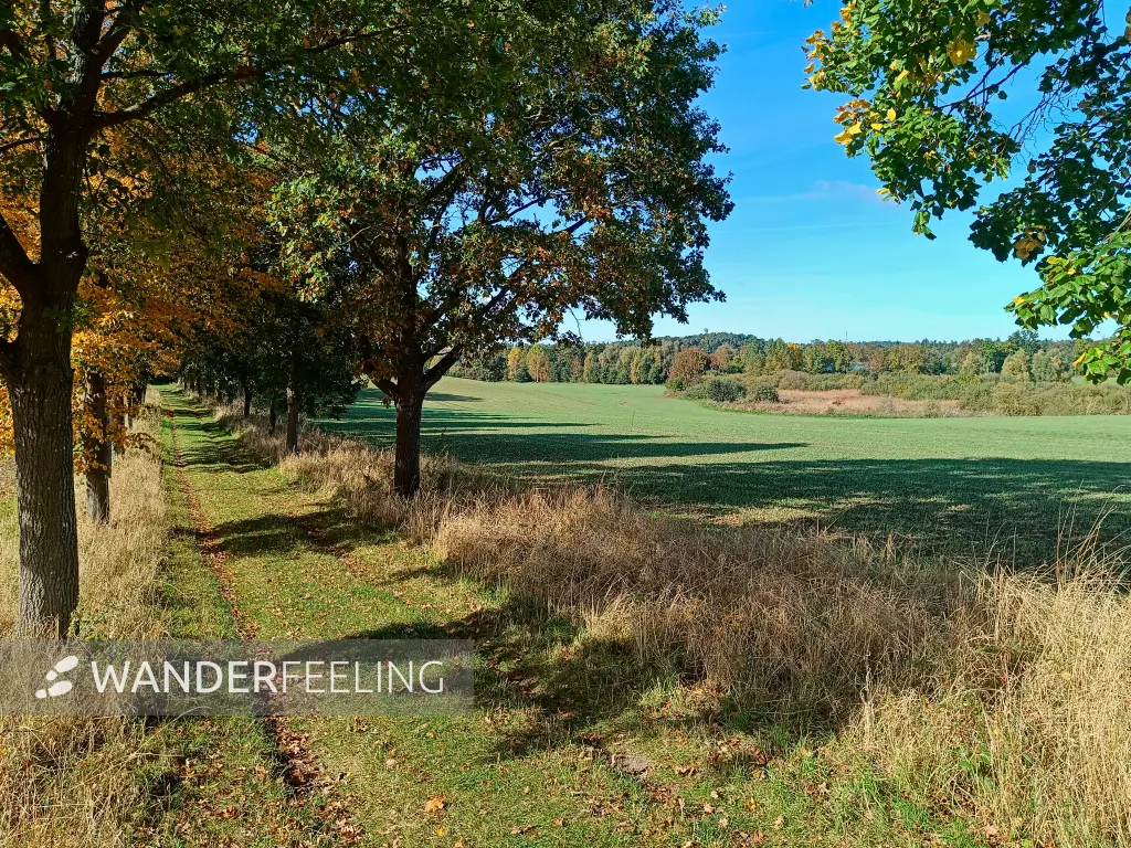 202510130-10 - Feldlandschaft bei Krakow am See, Mecklenburgische Seenplatte, Mecklenburg-Vorpommern, Deutschland