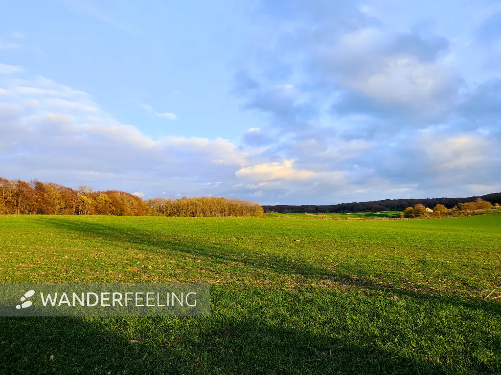 202311070-58 - Feldlandschaft bei Lohme, Rügen, Mecklenburg-Vorpommern, Deutschland
