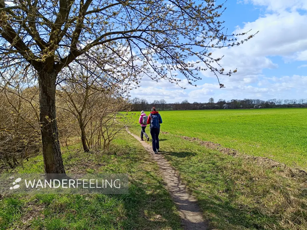 202604060-24 - Feldrand bei Blankenfelde, Berlin, Deutschland