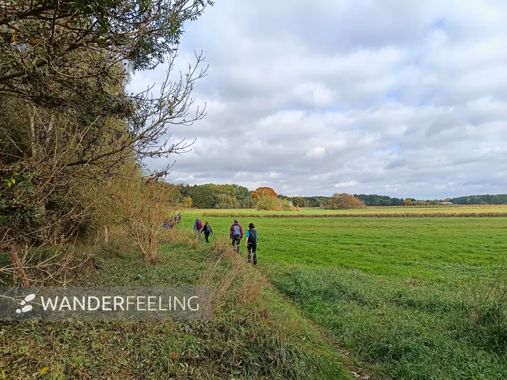202510110-19 - Feldrand bei Saarmund, Fläming, Brandenburg, Deutschland
