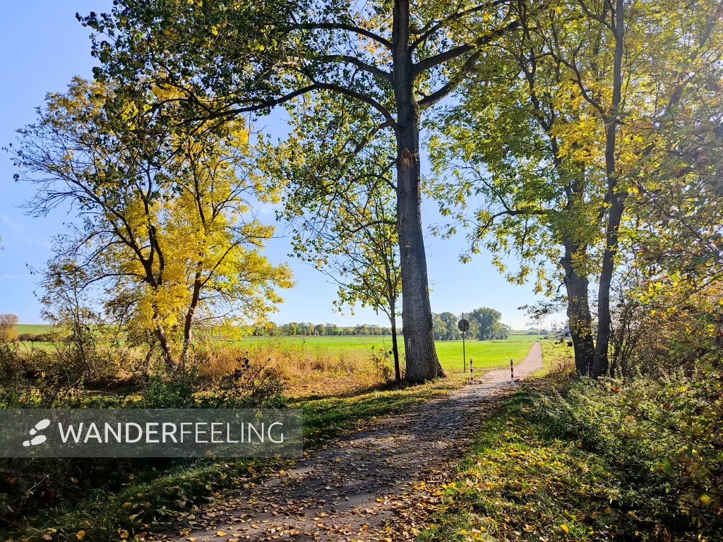 202210260-16 - Feldweg am Unteruckersee, Uckermark, Brandenburg, Deutschland