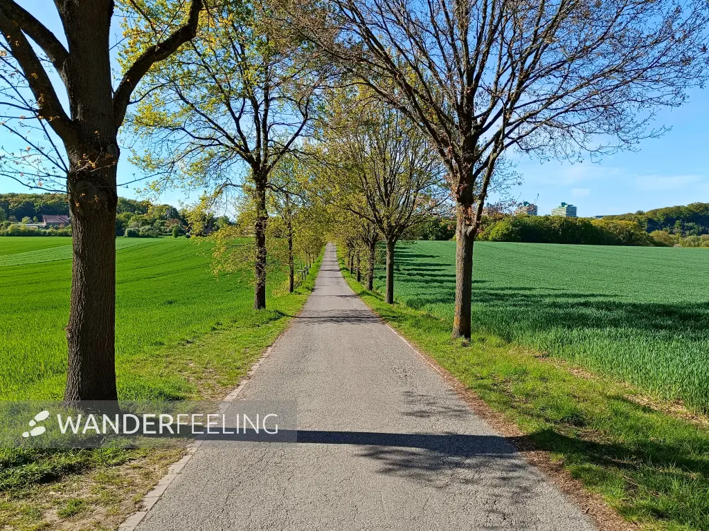 202604260-39 - Feldweg bei Bochum, Ruhrgebiet, Nordrhein-Westfalen, Deutschland