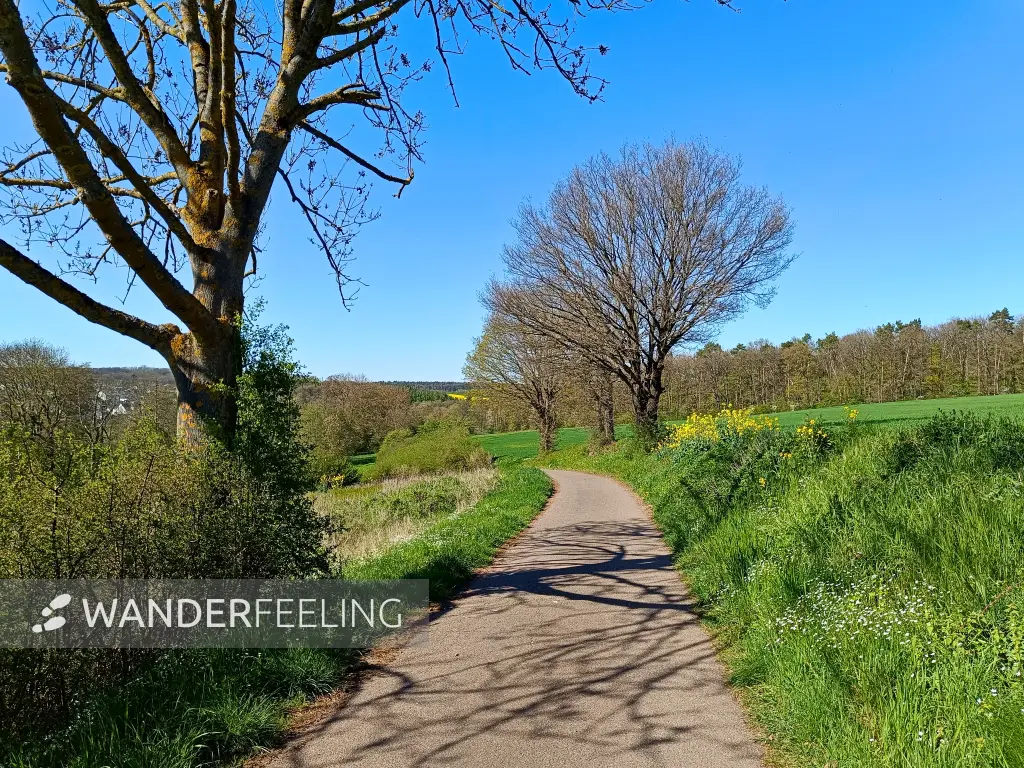 202604220-44 - Feldweg bei Breitenbenden, Eifel, Nordrhein-Westfalen, Deutschland
