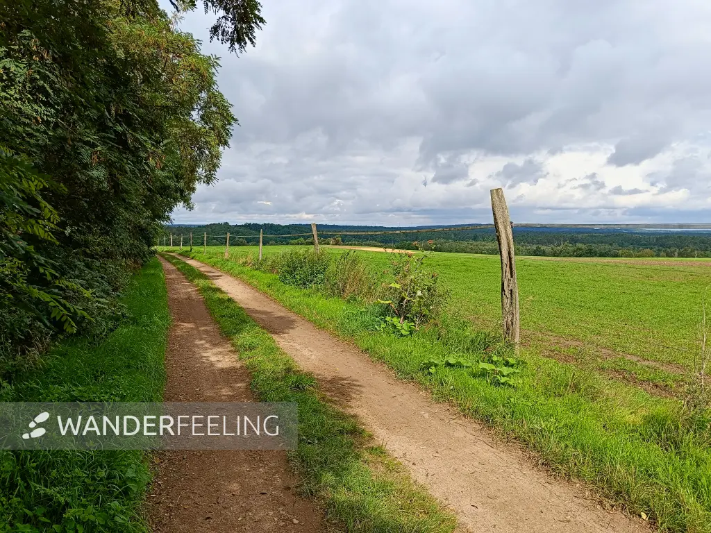 202508020-05 - Feldweg bei Dahmsdorf, Märkische Schweiz, Seenland Oder-Spree, Brandenburg, Deutschland