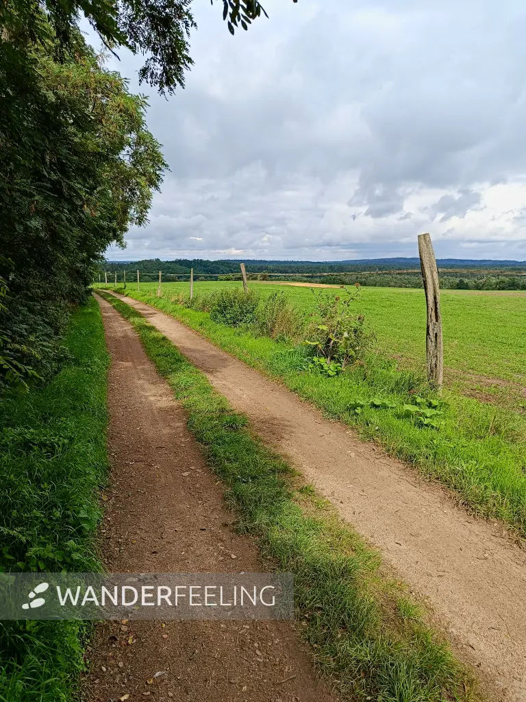 202508020-06 - Feldweg bei Dahmsdorf, Märkische Schweiz, Seenland Oder-Spree, Brandenburg, Deutschland