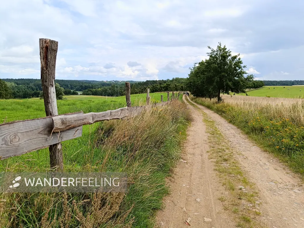 202508020-07 - Feldweg bei Dahmsdorf, Märkische Schweiz, Seenland Oder-Spree, Brandenburg, Deutschland