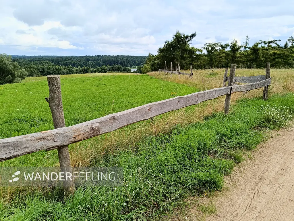 202508020-08 - Feldweg bei Dahmsdorf, Märkische Schweiz, Seenland Oder-Spree, Brandenburg, Deutschland