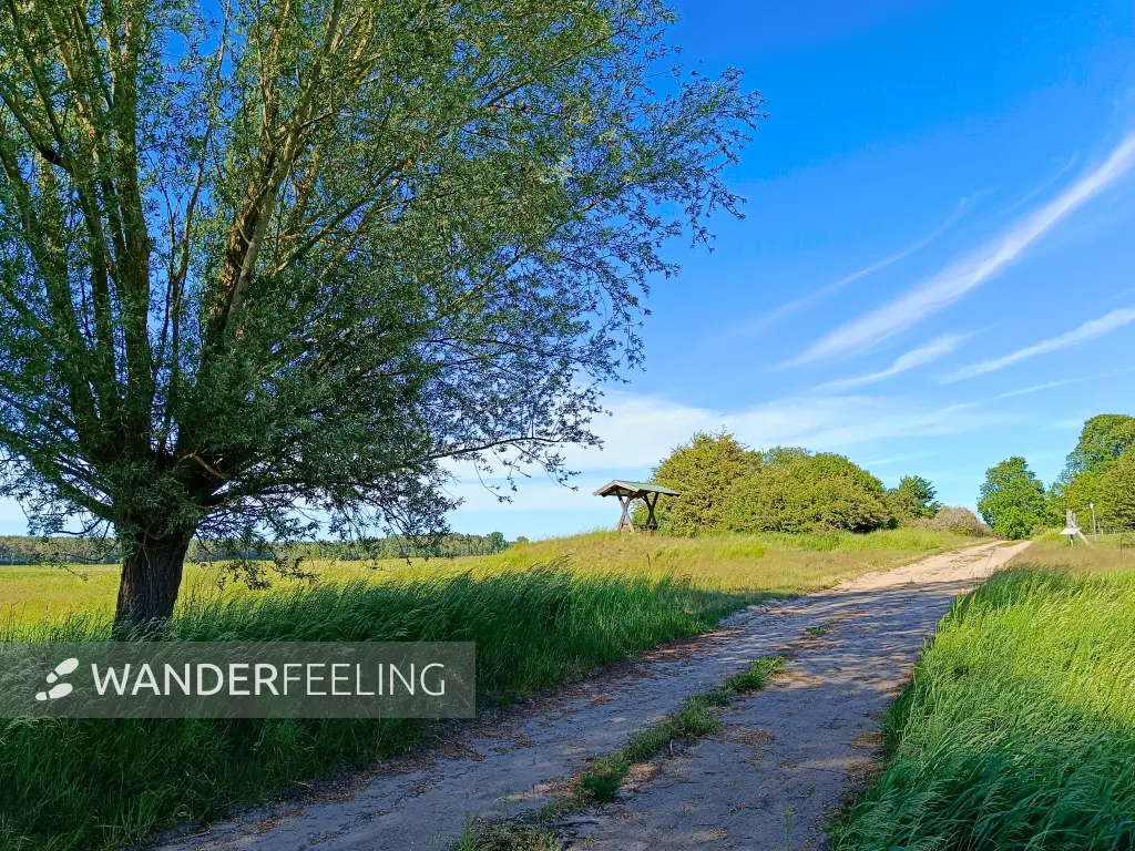 202605270-30 - Feldweg bei Dobbin, Mecklenburgische Seenplatte, Mecklenburg-Vorpommern, Deutschland