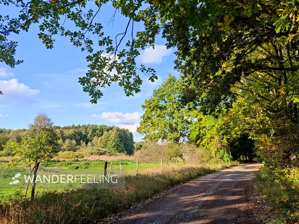 202310250-39 - Feldweg bei Emstal, Fläming, Brandenburg, Deutschland