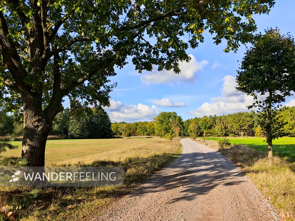 202310250-40 - Feldweg bei Emstal, Fläming, Brandenburg, Deutschland