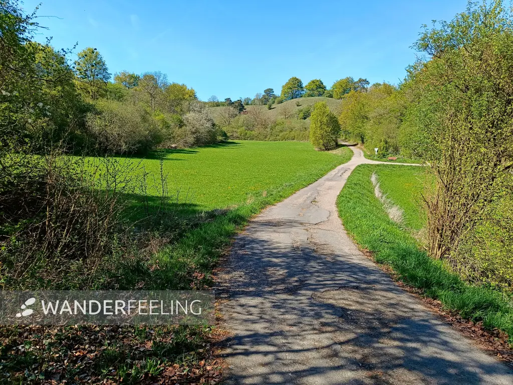 202604240-14 - Feldweg bei Eschweiler, Eifel, Nordrhein-Westfalen, Deutschland
