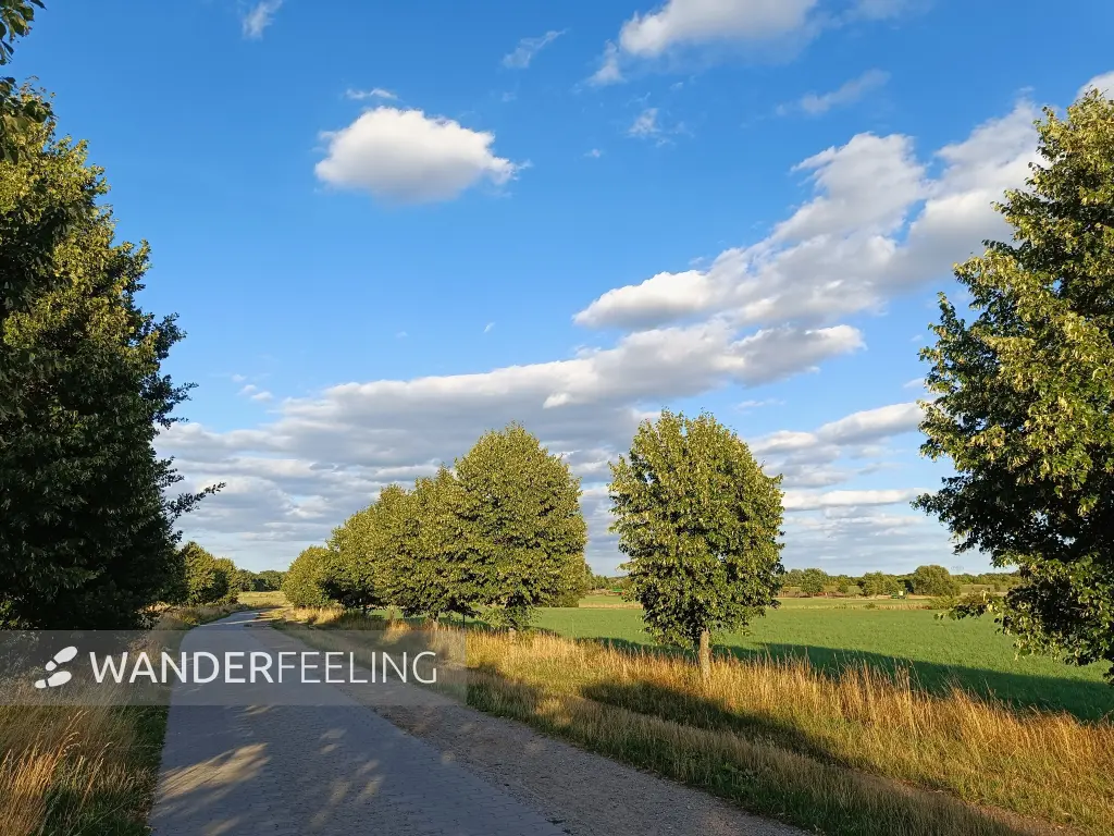 202607280-16 - Feldweg bei Großziethen, Fläming, Brandenburg, Deutschland