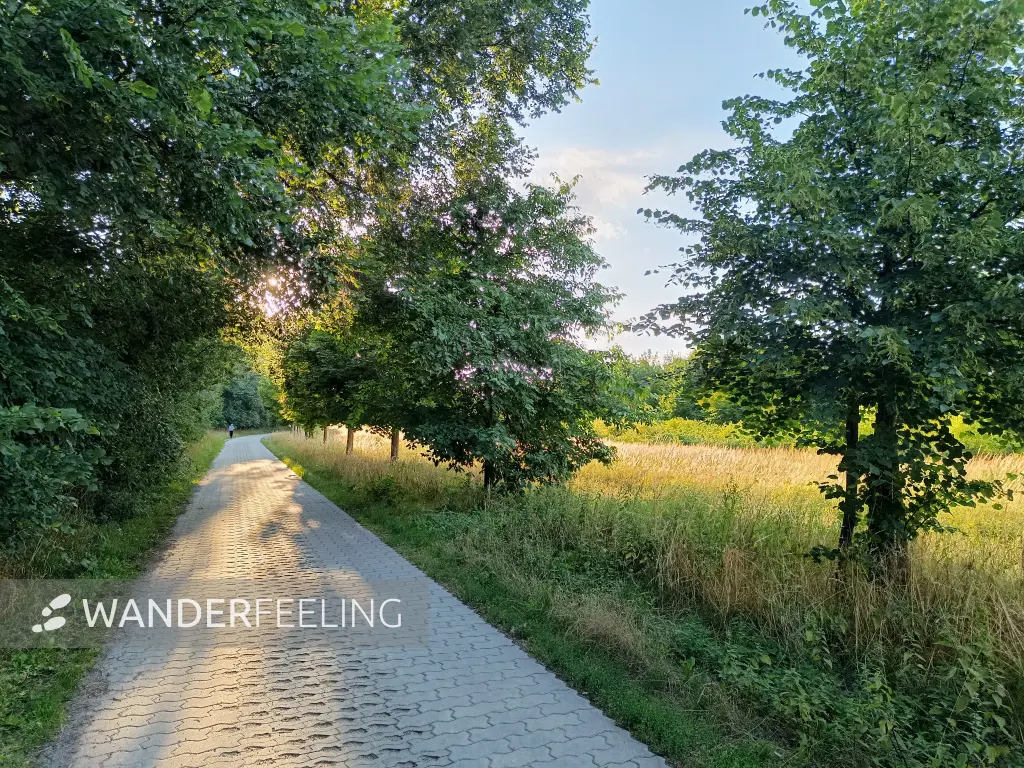 202607280-18 - Feldweg bei Großziethen, Fläming, Brandenburg, Deutschland