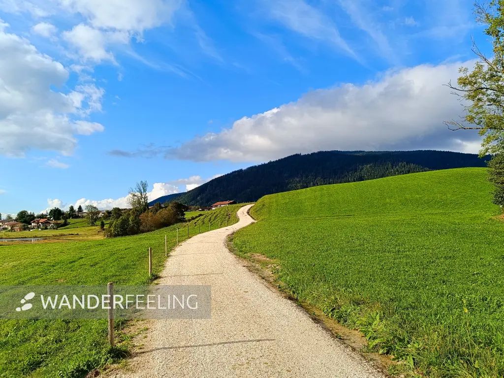 202409171-26 - Feldweg bei Inzell, Chiemgau, Bayern, Deutschland