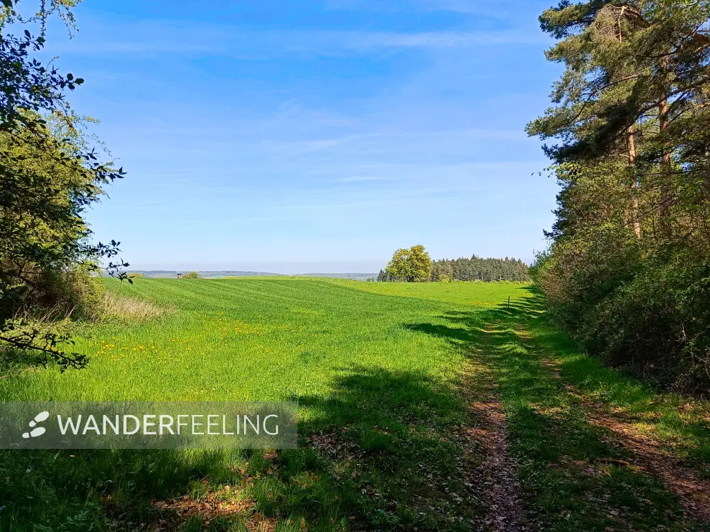202604240-11 - Feldweg bei Iversheim, Eifel, Nordrhein-Westfalen, Deutschland