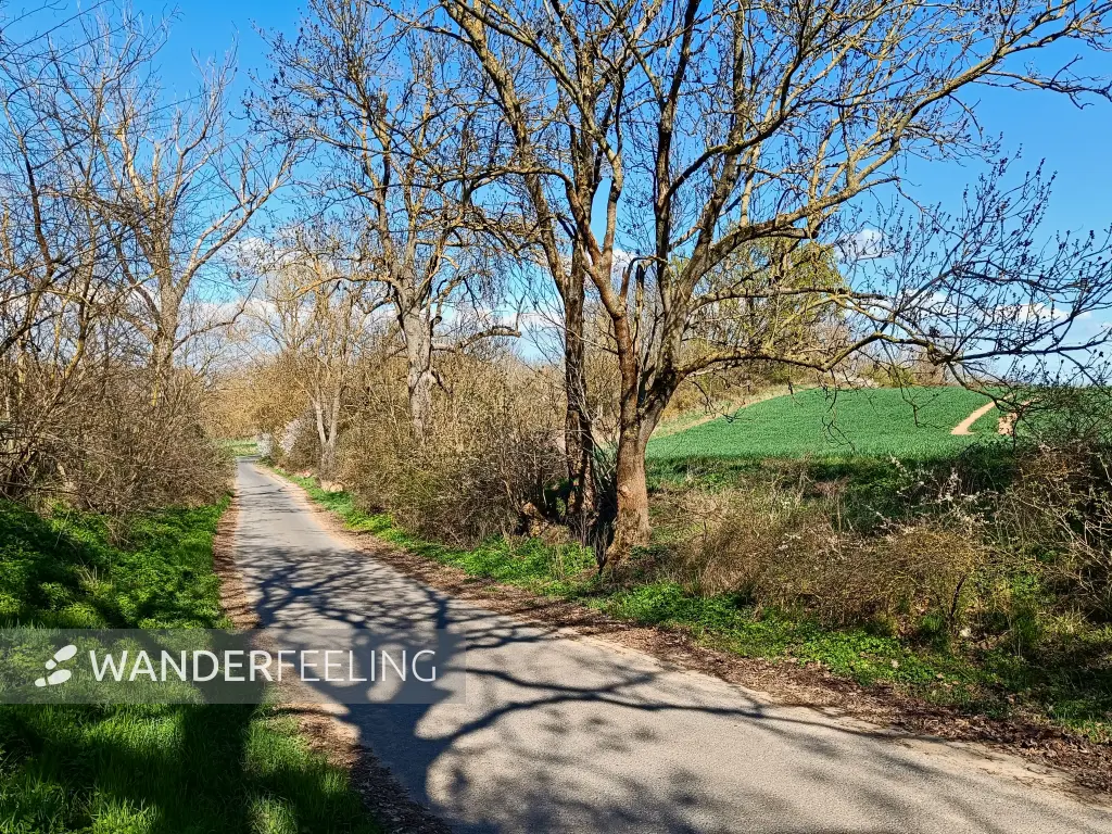 202604150-28 - Feldweg bei Klessin, Seenland Oder-Spree, Brandenburg, Deutschland