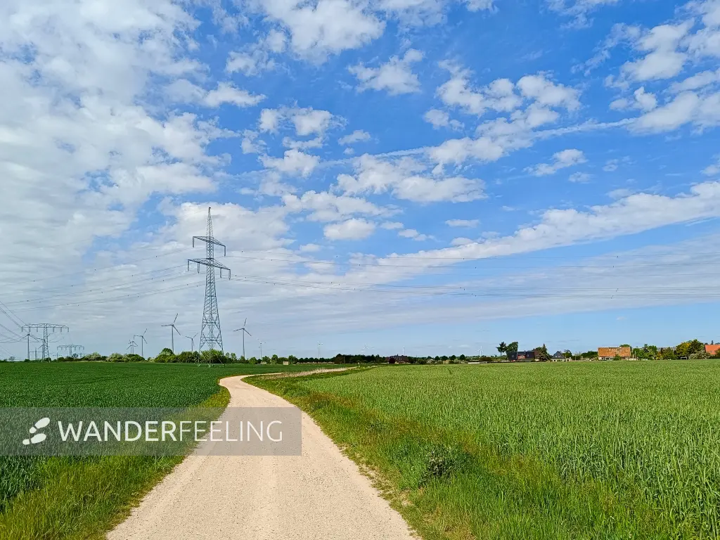 202505030-32 - Feldweg bei Neukammer, Havelland, Brandenburg, Deutschland