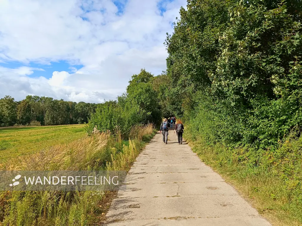 202508230-05 - Feldweg bei Petersdorf, Seenland Oder-Spree, Brandenburg, Deutschland