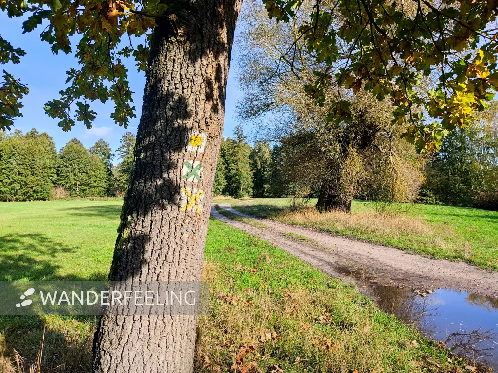 202310250-14 - Feldweg bei Rädel, Fläming, Brandenburg, Deutschland