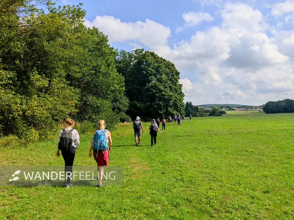 202308260-31 - Feldweg bei Schönhagen, Fläming, Brandenburg, Deutschland
