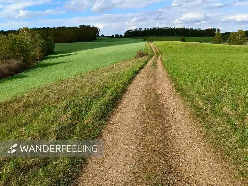 202605040-30 - Feldweg bei Sternberg, Mecklenburgische Seenplatte, Mecklenburg-Vorpommern, Deutschland