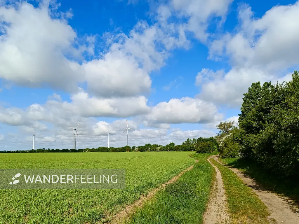 202505030-10 - Feldweg bei Wernitz, Havelland, Brandenburg, Deutschland