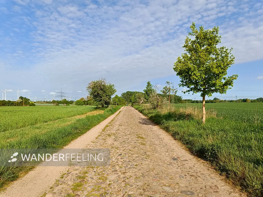 202505030-01 - Feldweg bei Wustermark, Havelland, Brandenburg, Deutschland