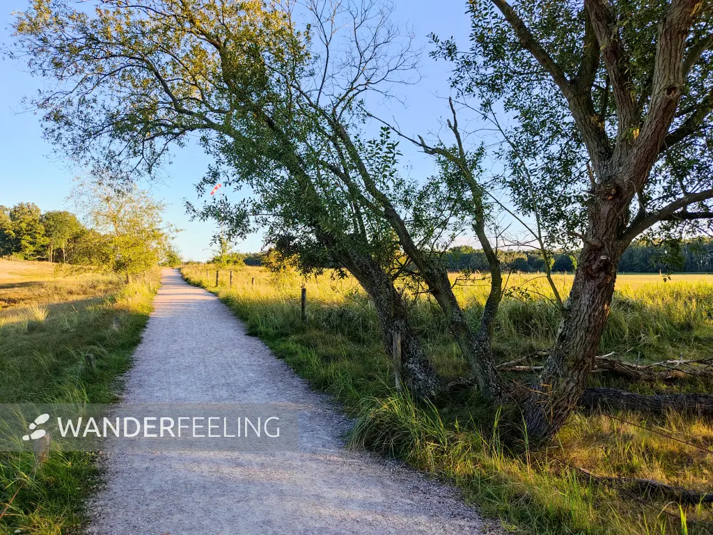202309241-20 - Feldweg in der Boberger Niederung, Hamburg, Deutschland