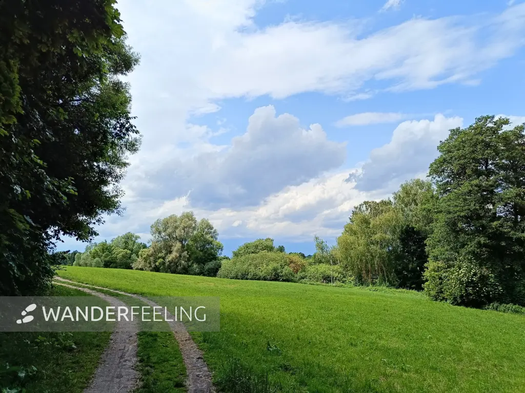 202506070-31 - Feldweg nach Lübars, Berlin, Deutschland