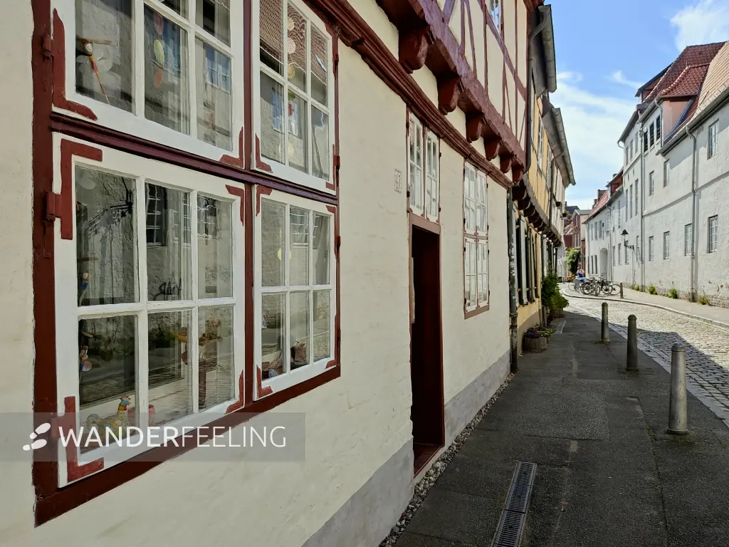 202309210-31 - Fensterdekoration in Lübeck, Lübecker Bucht, Schleswig-Holstein, Deutschland