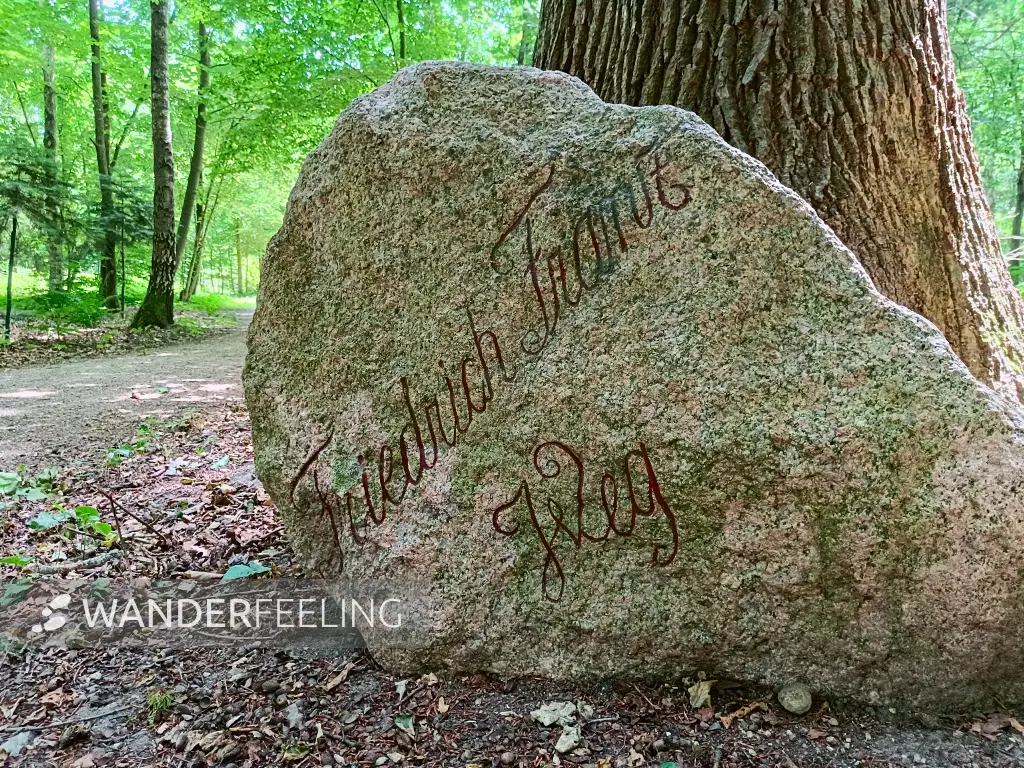 202506170-05 - Findling am Friedrich-Franz-Weg bei Lübstorf, Mecklenburgische Seenplatte, Mecklenburg-Vorpommern, Deutschland
