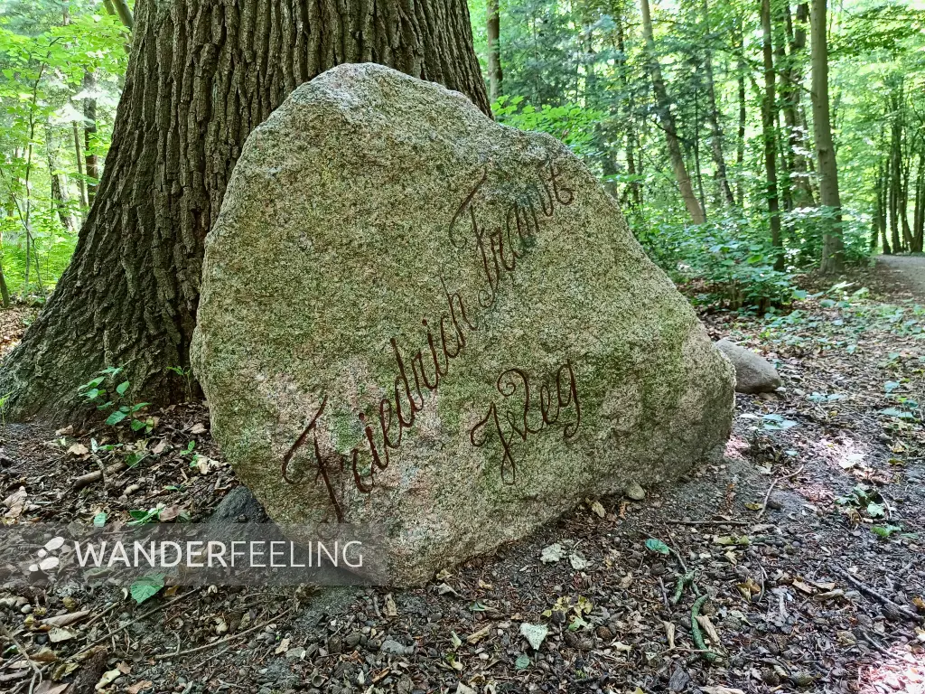 202506170-06 - Findling am Friedrich-Franz-Weg bei Lübstorf, Mecklenburgische Seenplatte, Mecklenburg-Vorpommern, Deutschland