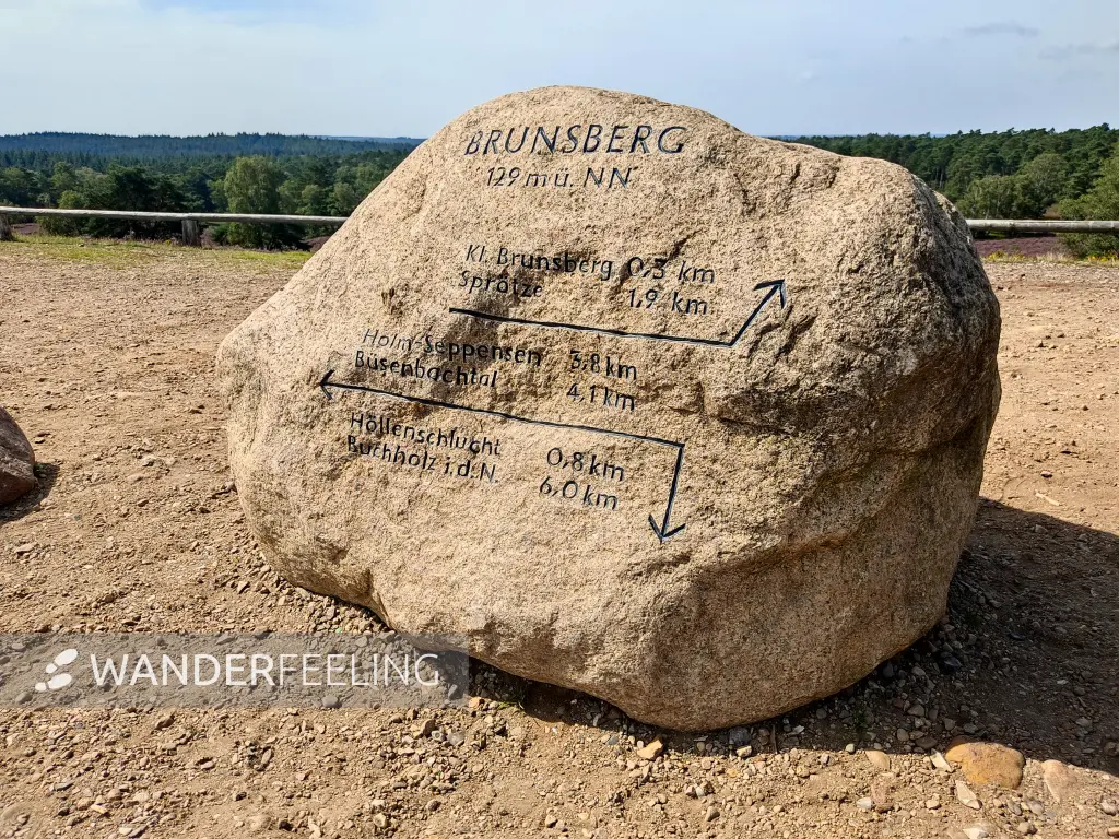 202308240-28 - Findling auf dem Brunsberg im Büsenbachtal, Lüneburger Heide, Niedersachsen, Deutschland
