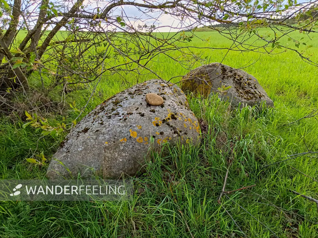202605040-29 - Findlinge am Feldrand bei Sternberg, Mecklenburgische Seenplatte, Mecklenburg-Vorpommern, Deutschland
