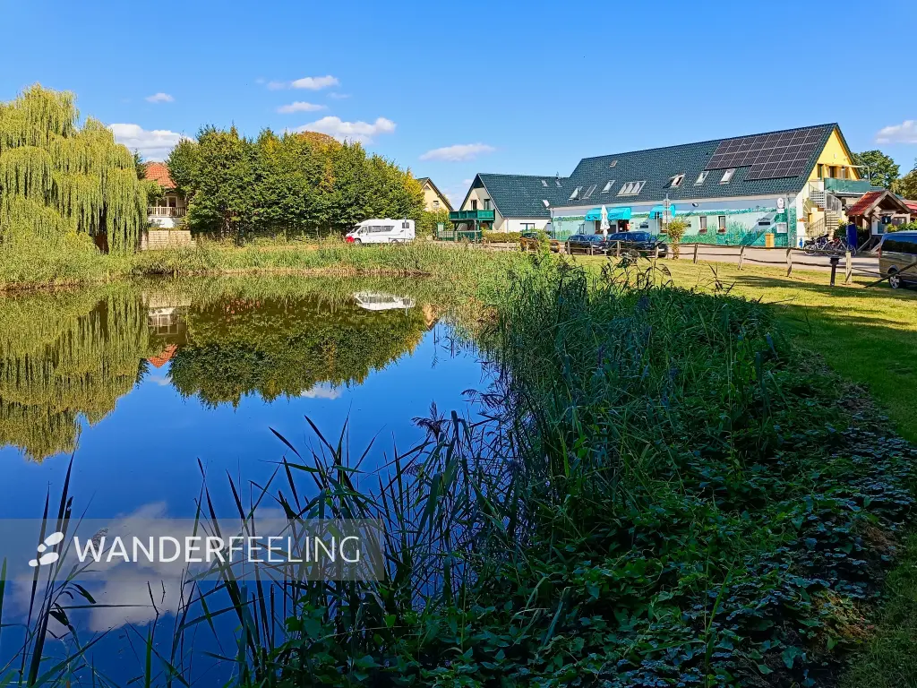 202508260-36 - Fischteich und Fischerei in Wendorf bei Alt Schwerin, Mecklenburgische Seenplatte, Mecklenburg-Vorpommern, Deutschland