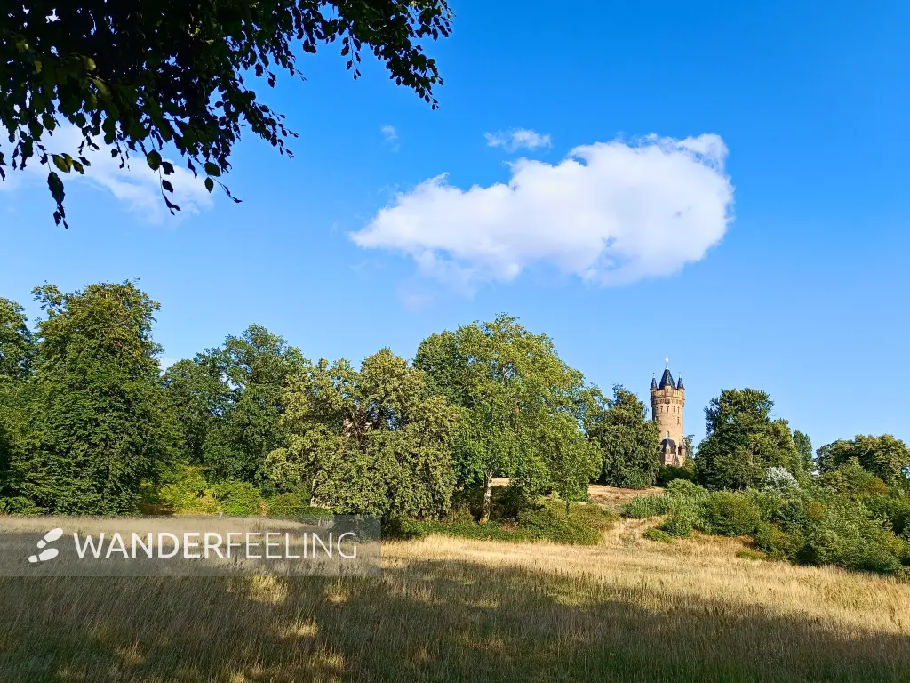 202507150-13 - Flatowturm im Park Babelsberg, Potsdam, Brandenburg, Deutschland