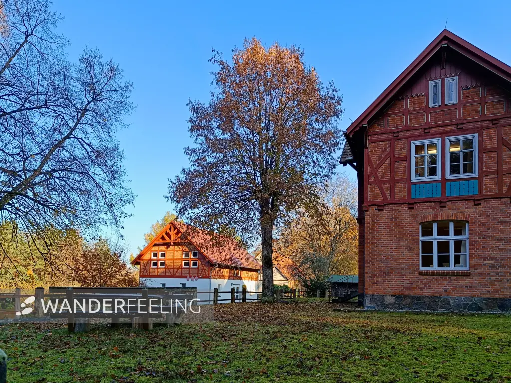 202511070-01 - Forsthaus Serrahn im Müritz-Nationalpark, Mecklenburgische Seenplatte, Mecklenburg-Vorpommern, Deutschland